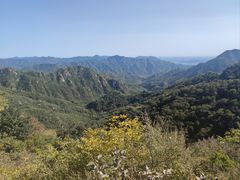-大岭沟猕猴桃谷风景区