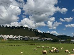 -关山牧场王师烤全羊