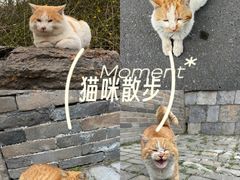 -香积寺