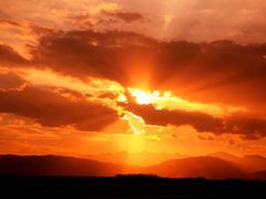 -国强手抓(西夏区店)