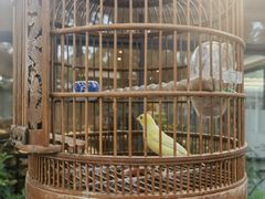 -蘇河湾·新鲁菜·泰山宴(泰山店)