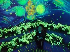 -天津梵高星空艺术馆(天河城旗舰店)