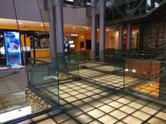 -威尔仕健身(金茂店)