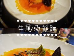 葛仙米牛尾汤鲜鲍-鱼桥巷·美学川菜