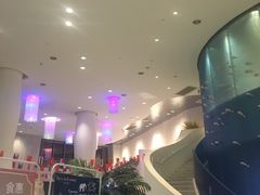 -深圳东部华侨城瀑布酒店