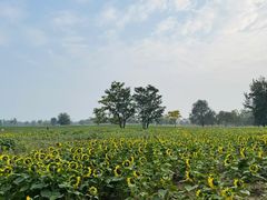 -汉长安城未央宫国家考古遗址公园