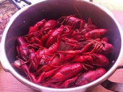 高压锅蒸大虾-蚝翅·海鲜粥·烧烤·宁夏滩羊季(玉米楼店)
