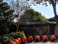 -巡塘古镇