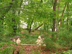 -松花湖风景名胜区