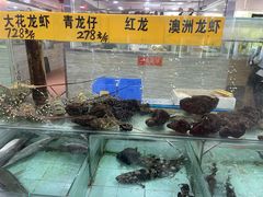 -寻味顺德·南记酒家·传统顺德菜·鱼生(广源路店)