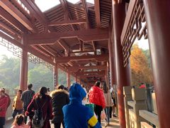 -重庆彩云湖湿地公园
