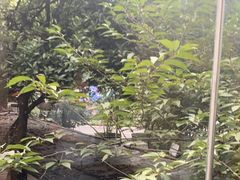 -天怡·鱼工厂(梅溪湖店)