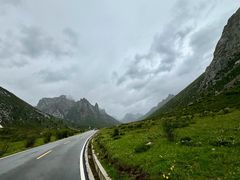 -莲宝叶则景区