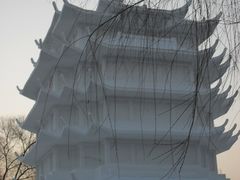 -太阳岛风景区