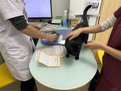 -宠福鑫康馨动物医院·骨科·眼科