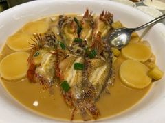 -骏莱海鲜鱼港(五角场店)