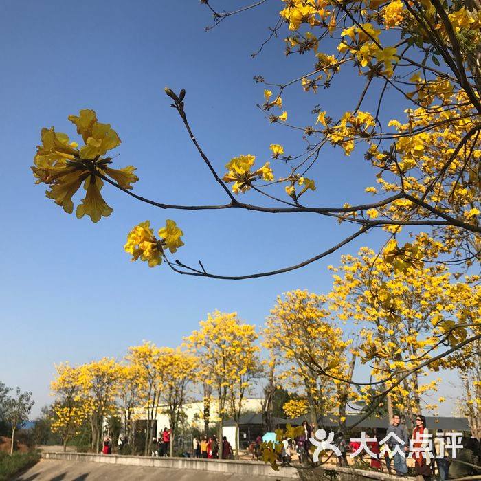品胜天鹅湖庄园