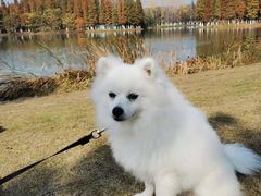 -艾溪湖湿地公园