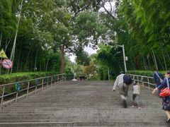 -上海佘山国家森林公园西佘山园