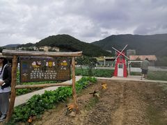 -宁波九龙湖开元度假村