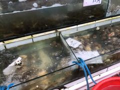 -海香园饭店