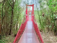 -上海吴淞炮台湾国家湿地公园