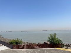 -上海滨江森林公园