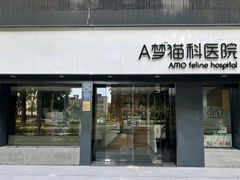 -御宝贝·A梦猫科宠物医院(国际猫友好医院)