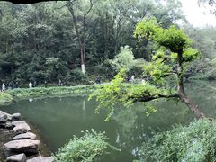 -岳麓山风景名胜区