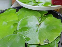 -万商花鸟市场