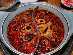 -青瓷火锅料理(西单大悦城店)