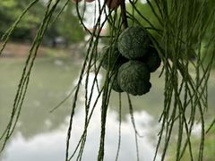 -佘山银湖别墅