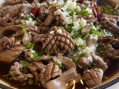 -呼吸森林·生态农庄农家乐私房菜