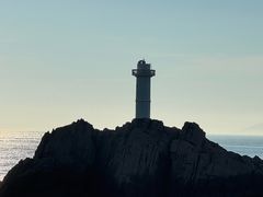 -阿军排档·烧烤