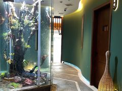 -泰悠谷养生SPA(世茂商业街店)