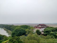 -大湾区中央湿地公园