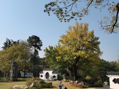 -东湖落雁景区