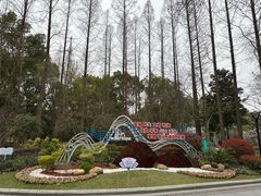 -徐家汇源景区-衡山公园