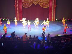 -珠海横琴长隆《卡卡虎奇遇记》