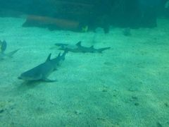 -常州海昌海洋探索馆
