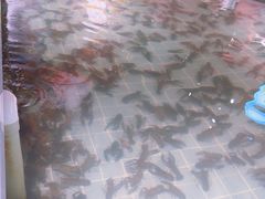 -虾胡闹龙虾馆(湄南河店)