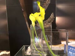 -上海漕河泾万丽酒店
