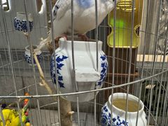 -锦府盐帮·侯宅(五棵松万达店)