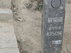 -梧桐山风景名胜区