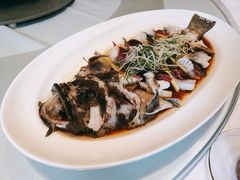 -富淳饭店(陆家嘴保利广场店)