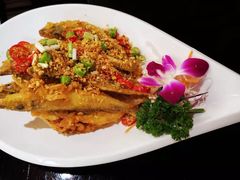 -金厨泰国餐厅·全泰籍厨师料理(拱北店)