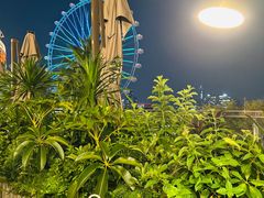 -故里和山·成都火锅(欢乐港湾店)