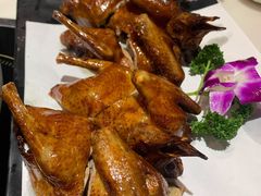 红烧乳鸽-石头咕(葵蓬店)