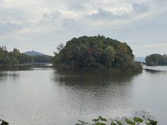 -上海市保健医疗中心