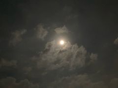 -马尔龙新疆饭店·清真(瑞景店)